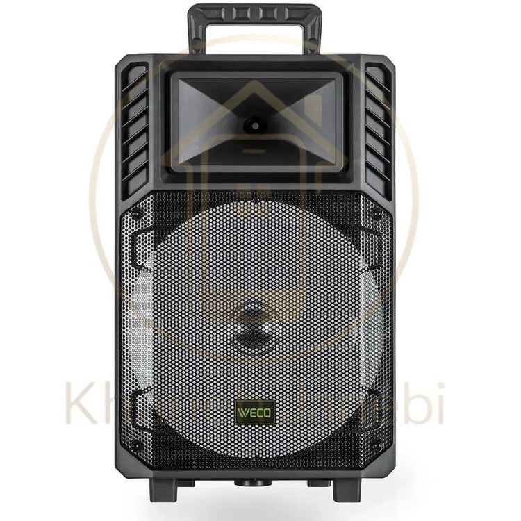 اسپیکر ویکو WeS-100 Singel 12 inch
