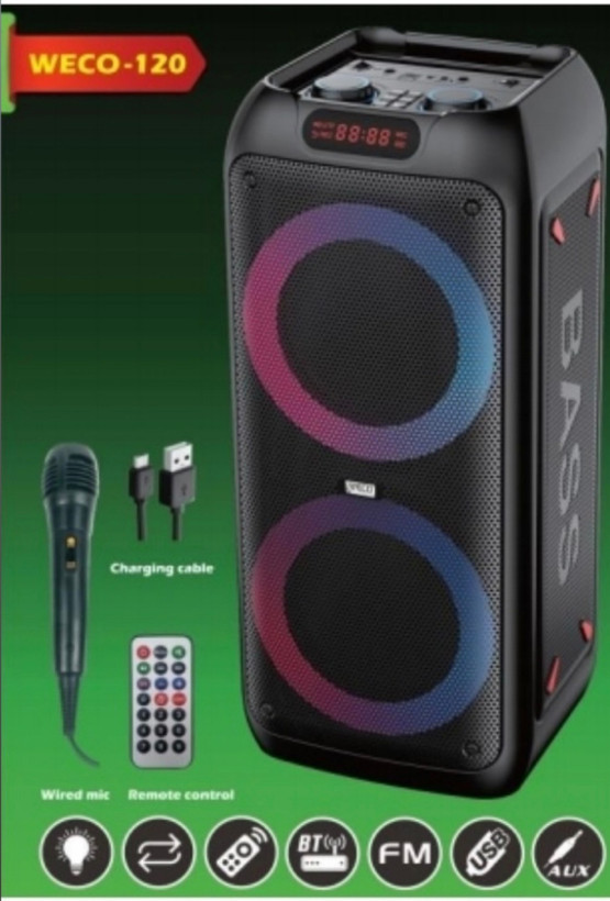 اسپیکر ویکو مدل Wes-120 مشکی